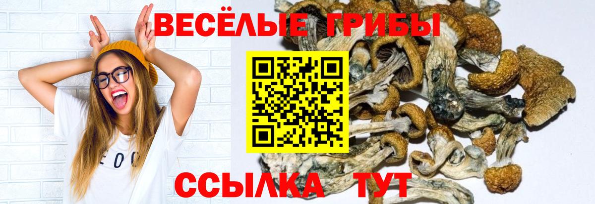 наркошоп  Псилоцибиновые грибы Psilocybe  Вход с VPN  Ливны 